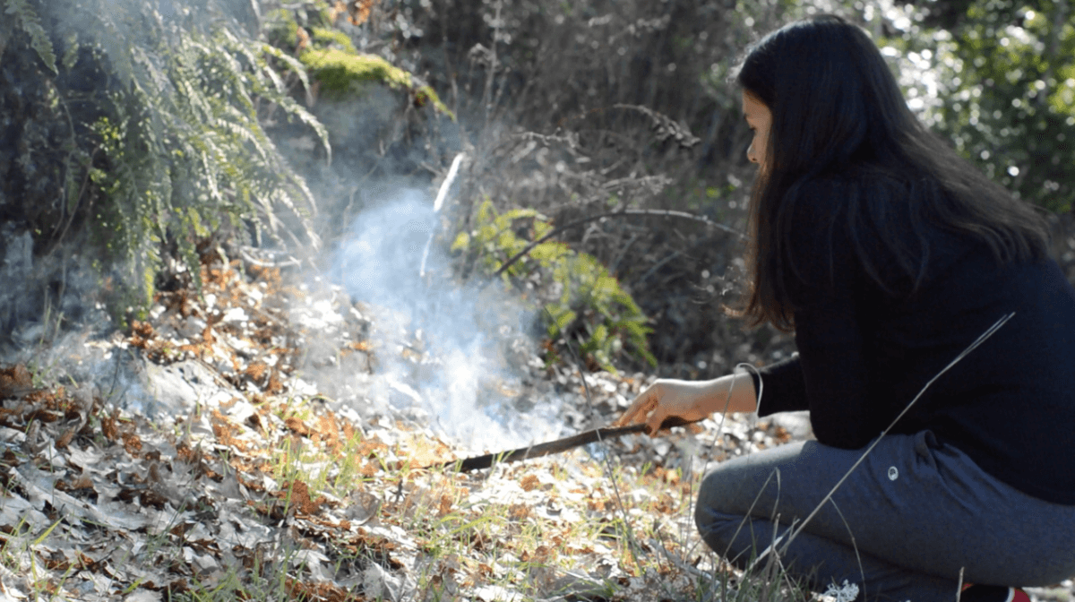 Cultural burning: ‘Fire teaches us many lessons'