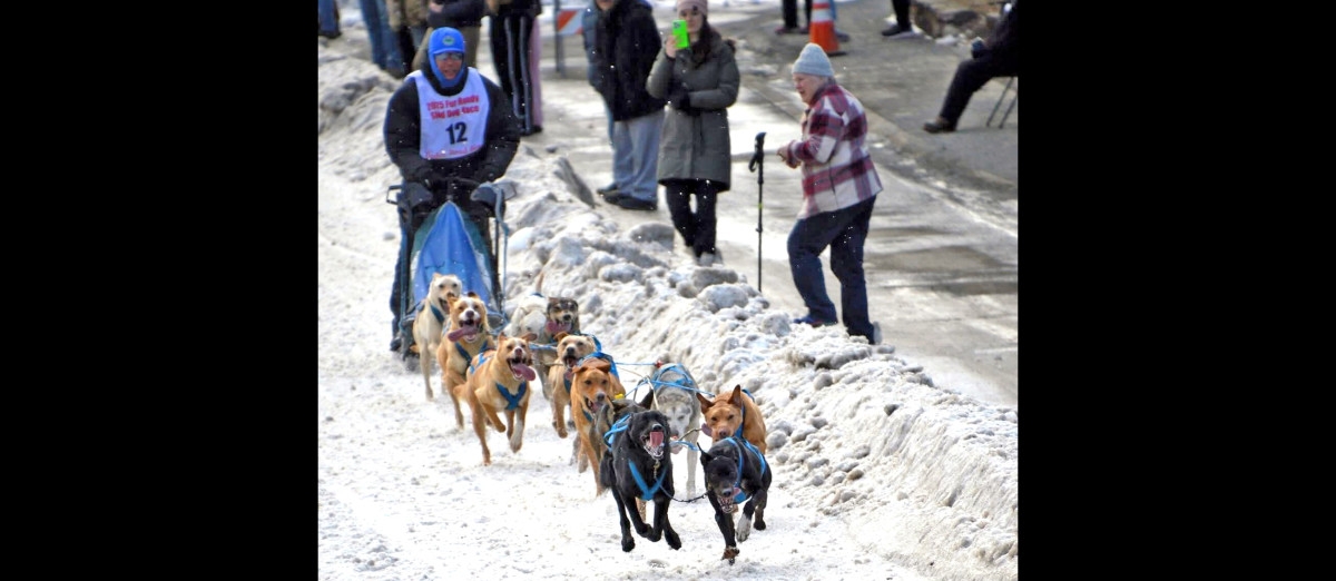 Brothers take on Alaska sled dog racing together