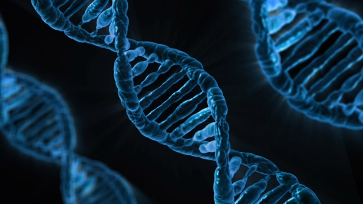 Forensic DNA breaks new ground for MMIP cold cases