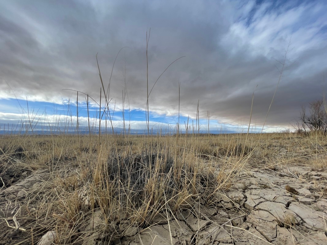 Every day is Earth Day for Indigenous people