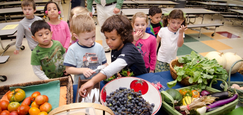 ‘A giant leap backwards': Indiana opts out of summer program for hungry schoolchildren