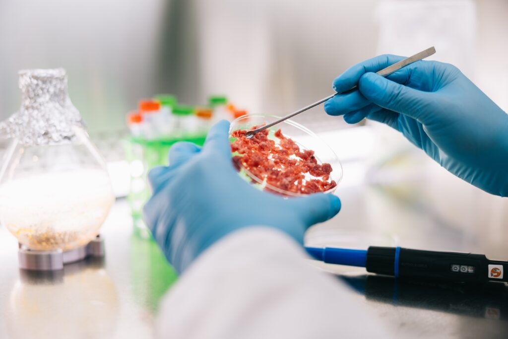 Lab-grown meat could get temporary ban, carbon storage heads to governor despite funding dispute