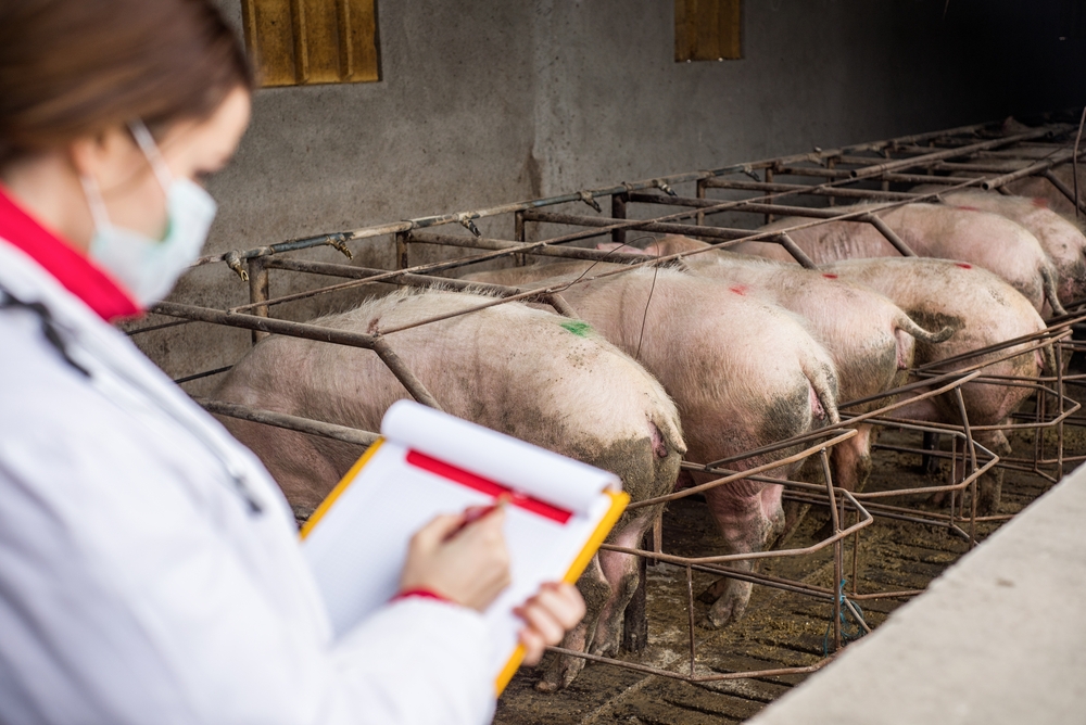 Tractor Supply Company (TSCO): A Bull Case Theory