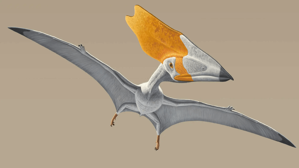 Dinosaur-era flying reptile's fossil reveals first direct evidence of plant diet