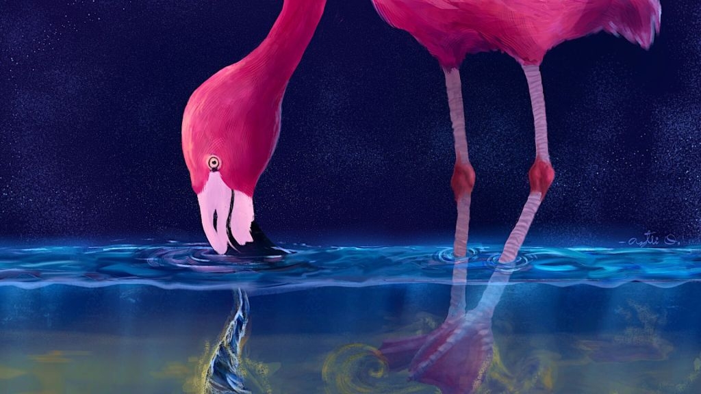 Flamingo physics shocks science world as birds form fish-catching tornadoes