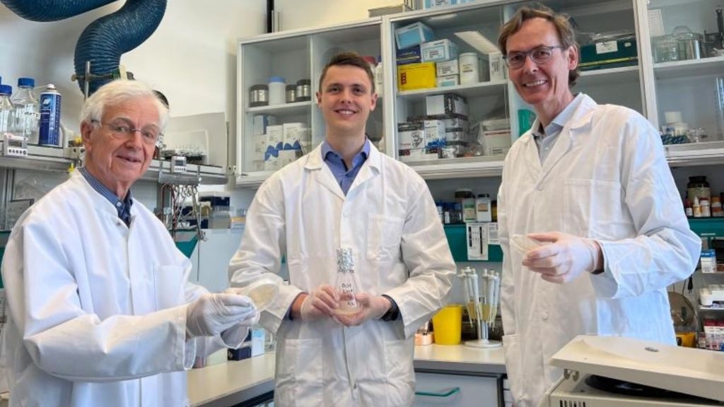 Yeast cells brew human DNase1 for first time, paving way for cheaper treatment