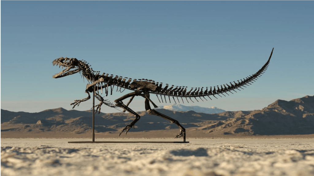 World's only complete baby dinosaur skeleton from 150-million-year ago up for auction