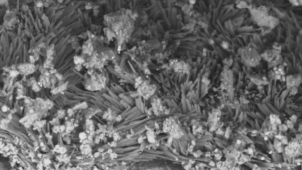 Asteroid Bennu holds secrets of water evaporated billions of years ago, study shocks