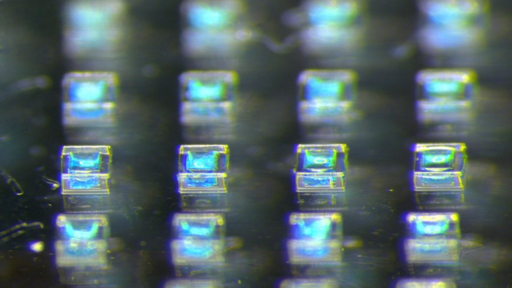 Scared of injections? Polymer microparticles put an end to multiple vaccine jabs