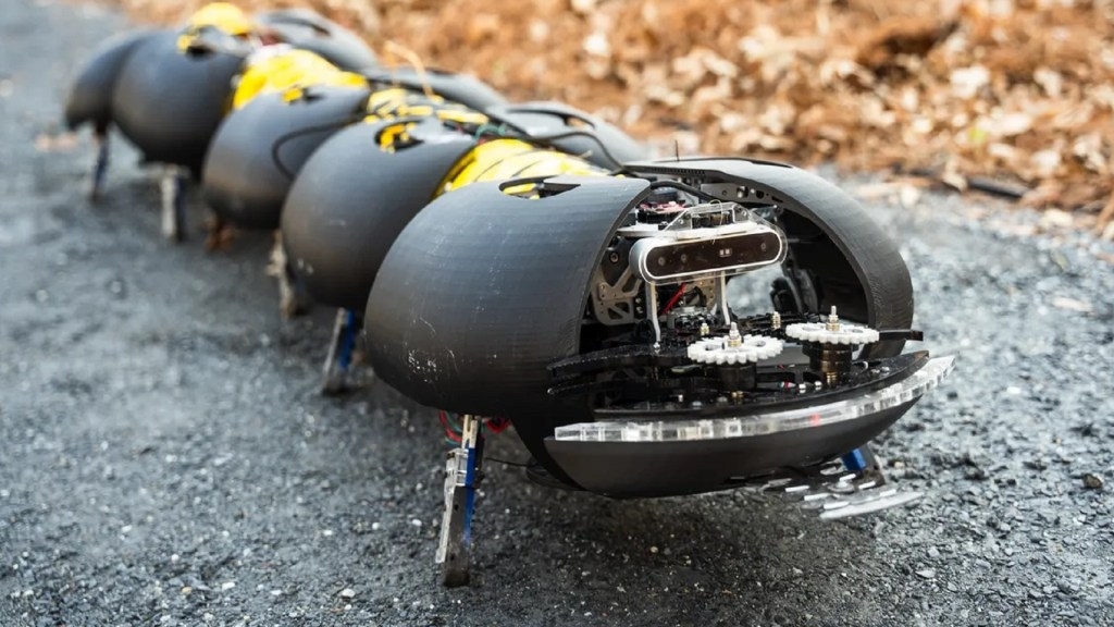 Centipede-inspired robots promise cheaper weed control for vineyards, blueberry farms