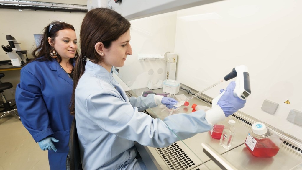 Scientists unveil breakthrough drug that could halt and reverse deadly liver fibrosis