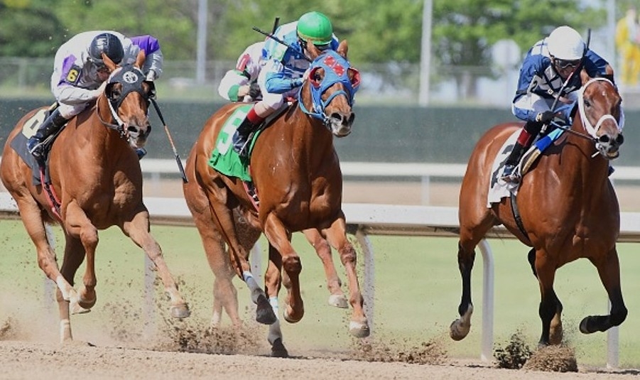 Horseracing veterinarian now faces charges from pharmacy board