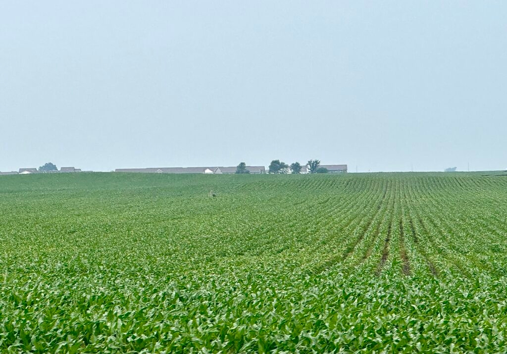 Farmers ready for warmer weather to help crops as dry conditions move in