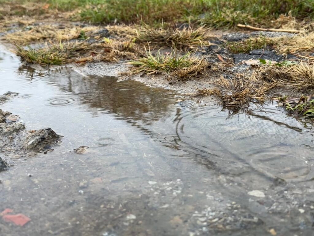 Iowa crops in good condition following ‘unseasonably cool and wet' conditions last week