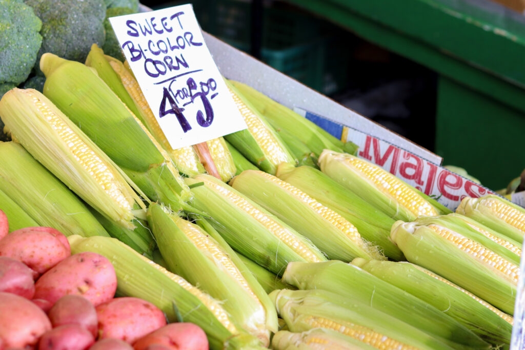 Iowa House panel advances bill to limit SNAP-eligible foods to healthy options