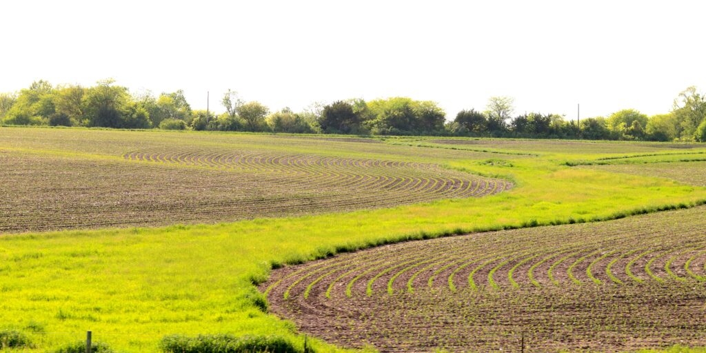 Iowa made ‘rapid progress' planting corn, soybeans last week