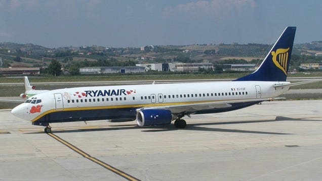 Stowaway Cat Grounded Boeing 737 For Two Days, Meowing In Avionics Bay