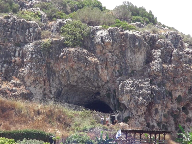 Did Neanderthals have 'family recipes'? Study suggests butchery practices in ancient groups