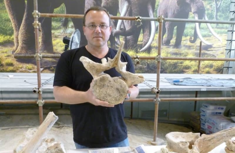 Prehistoric humans may have used fire to smoke meat one million years ago, study suggests
