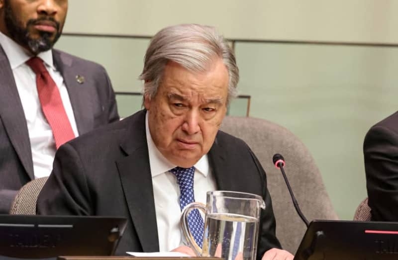 UN head 'appalled' by reports of deaths of Palestinians while seeking food aid
