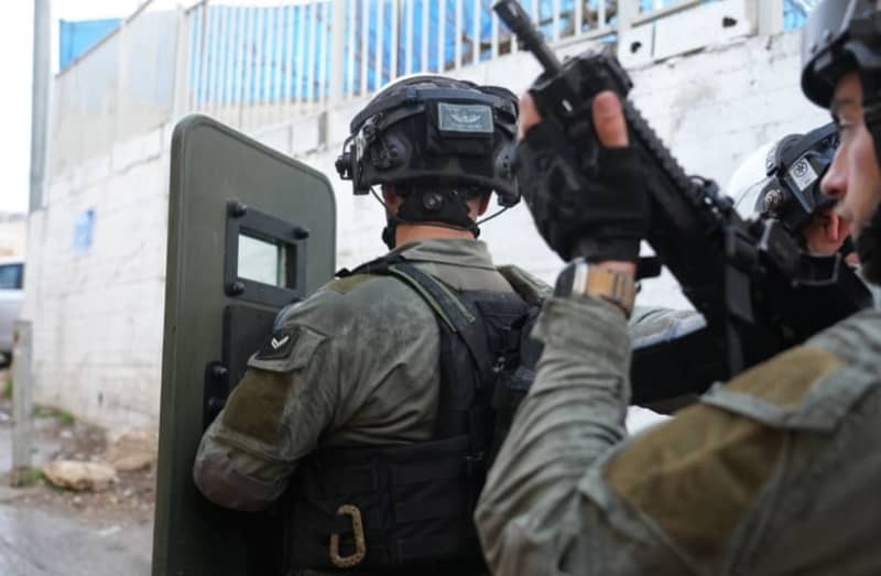 Sana'a Daqqa, widow of Walid Daqqa, arrested for incitement against Israel, IDF soldiers