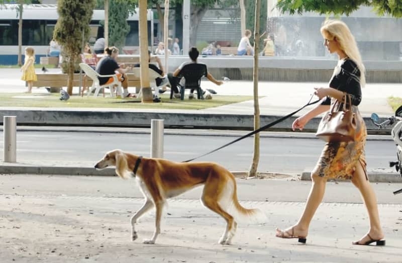 Snapping Tel Aviv: Alex Levac on capturing the city that never sleeps