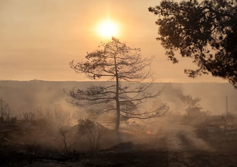 Israel to send IAF jets to aid in extinguishing Cyprus wildfires
