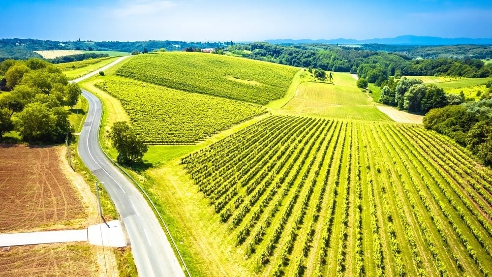 Croatia's Badel 1862 acquires Agrolaguna, Vinarija Novigrad from Fortenova