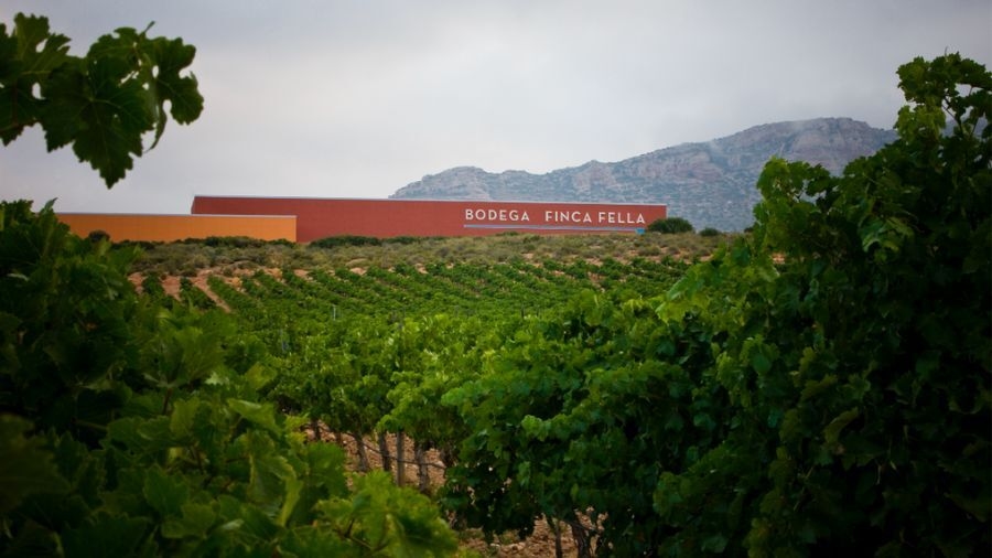 Italy's Fantini buys Venta la Vega to boost Spain wine output