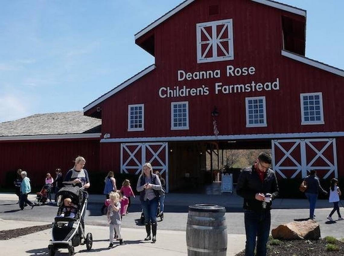 On a budget this summer? Check out these 10 child-friendly KC area attractions