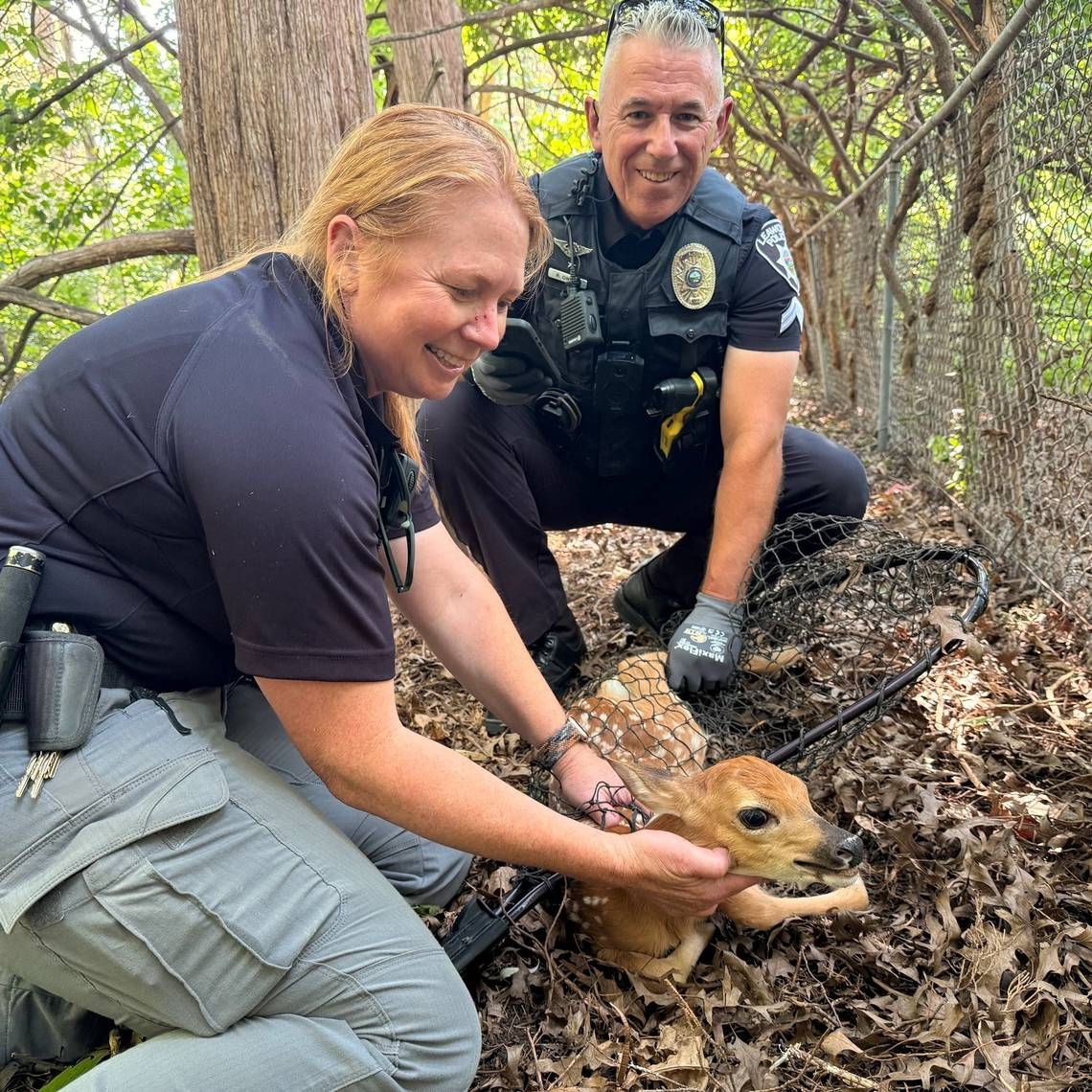 Leawood police give fawns a chance at life after their mother died