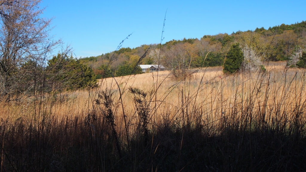 In a forthcoming memoir, a Kansas writer sees the land and herself anew