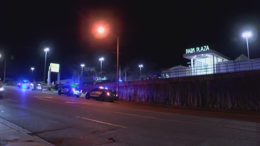 Park Plaza shoppers ‘shocked' after woman was shot, killed in mall parking lot