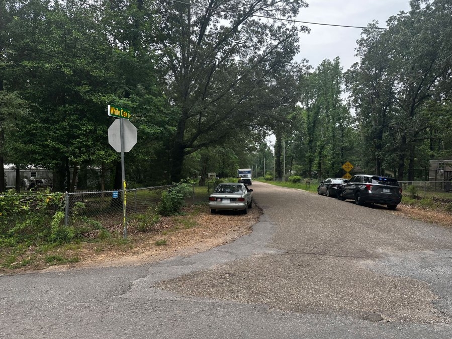 Saline County authorities investigating after 15-year-old girl killed in dog attack