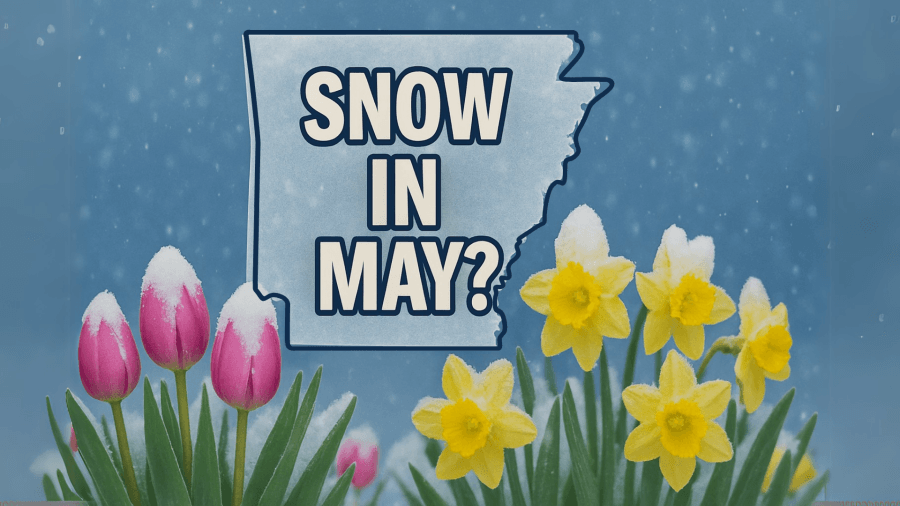 AST Blog: When Spring Froze Over. Rare May 2013 Snow in Arkansas.