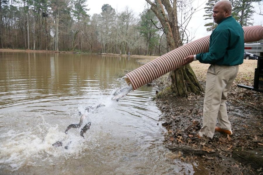AGFC winter stockings to add nearly 60,000 trout to Arkansas ponds