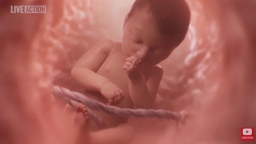 Baby Olivia Act hits bump in Arkansas Senate Education Committee