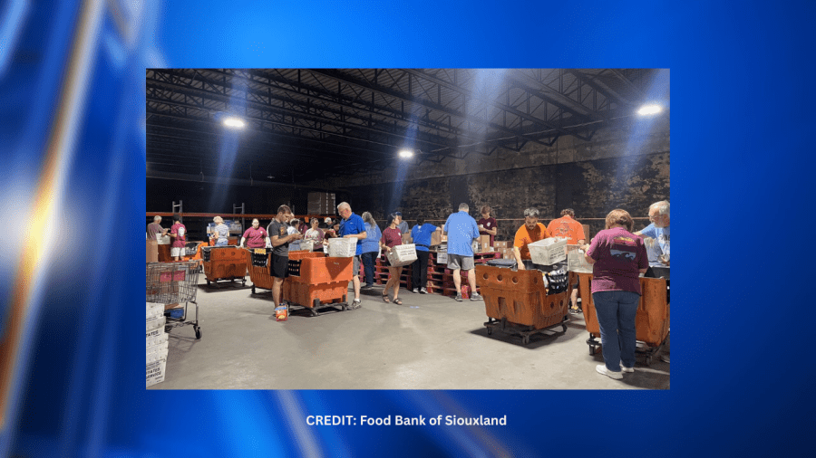 Stamp Out Hunger event collects 16,000 lbs of food in Siouxland