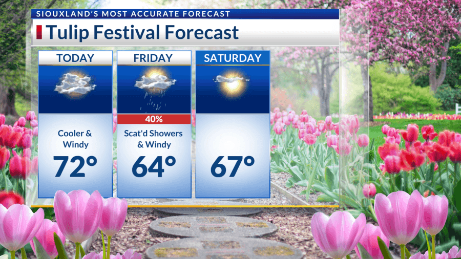 Orange City Tulip Festival Forecast: Cooler & windy, rainy at times