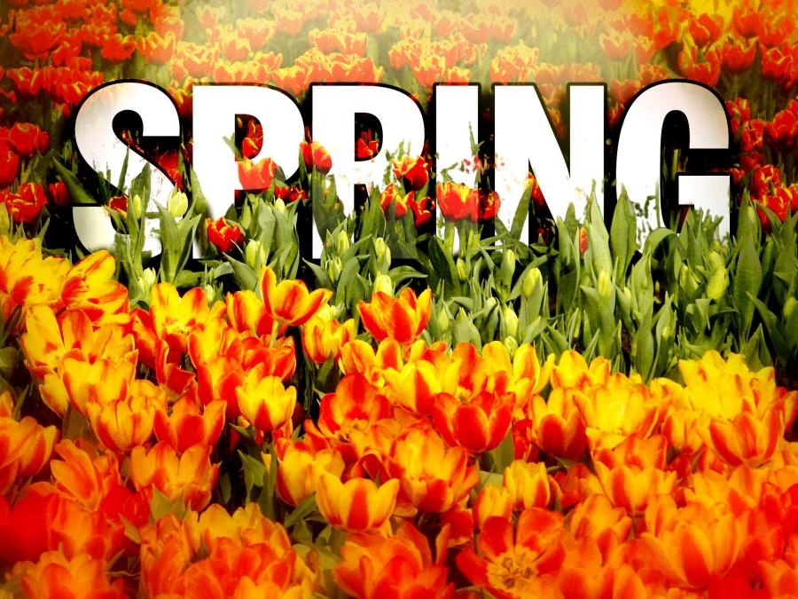 What is the spring equinox and how does it different from meteorological spring?