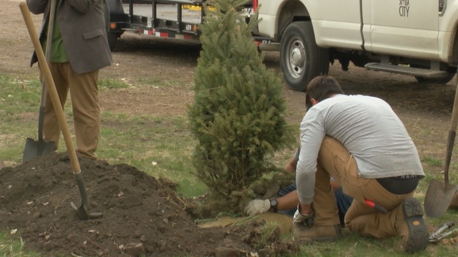 Sioux City to honor Arbor Day with tree planting event