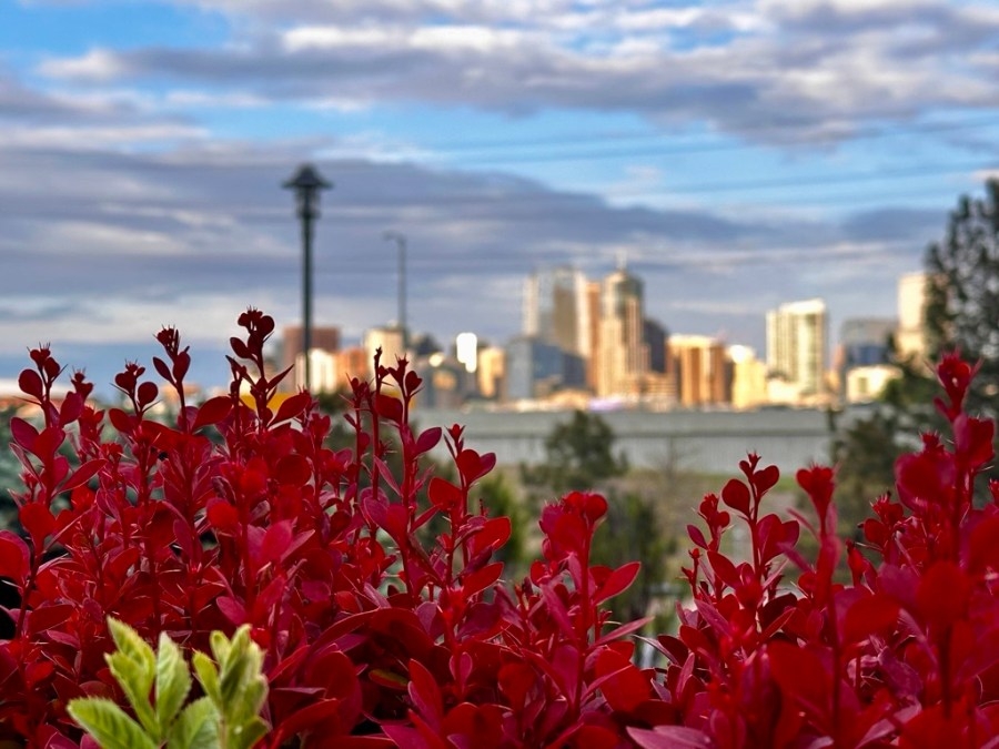 Denver weather: Warm Friday; occasional rain and storms Memorial Day weekend