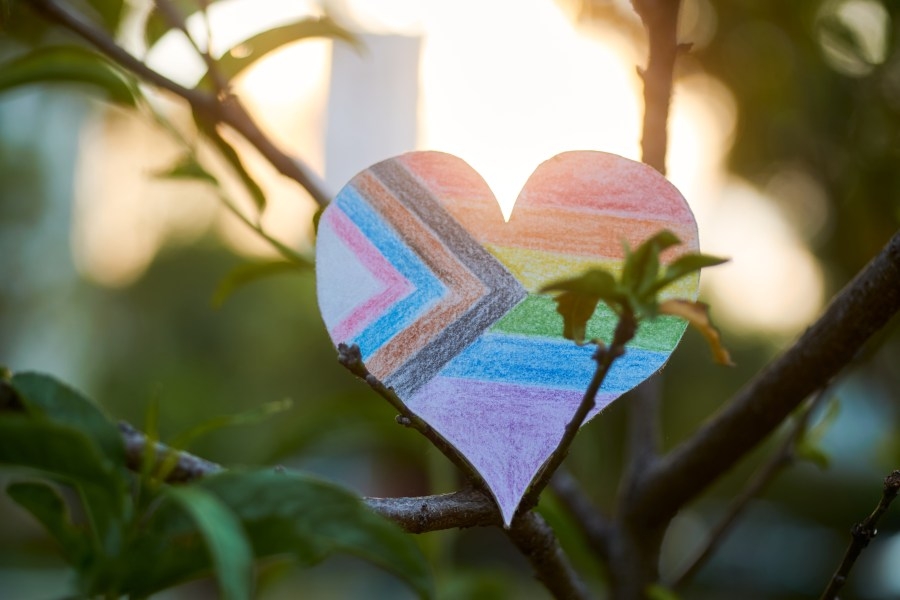‘Colorado is for everyone': Polis signs bill repealing same-sex marriage ban