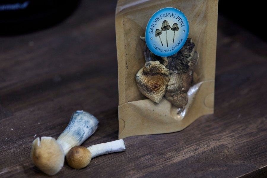 Psilocybin use rising among adults with mental health conditions: Denver Health study