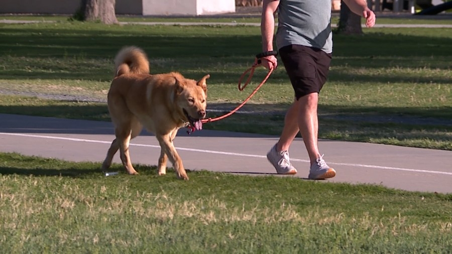 Denver dog walker warns app users after being scammed by another user
