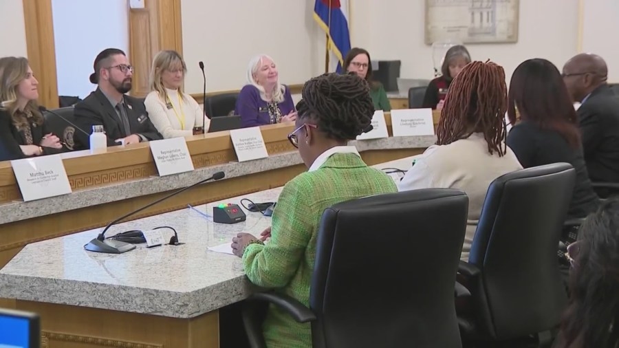 Black history standards in schools passes committee along party lines