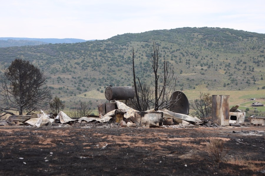 Here's how you can help support Coloradans impacted by the Lee, Elk and Crosho fires