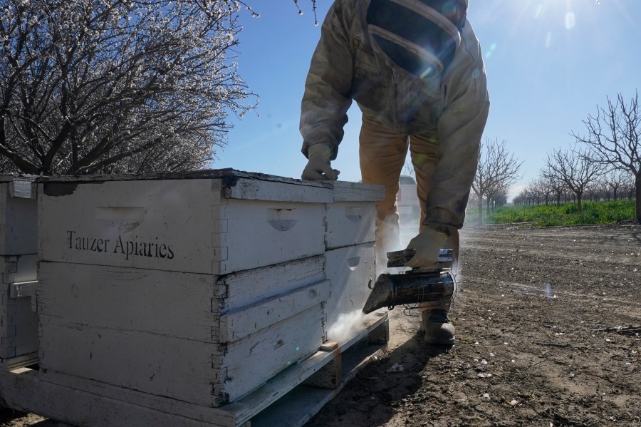 Colorado bees, crops could fail without federally published data, beekeepers say