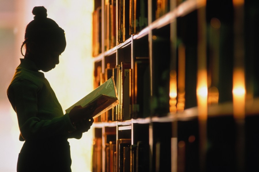 ‘Free societies don't ban books': State bill aims to protect public school libraries from book bans