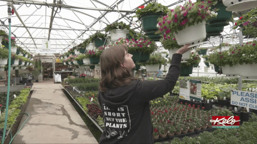 Sarah Alfano: Professor, gardener and rock star